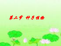 3.1.2《种子植物》PPT课件6-七年级生物上册【人教版】
