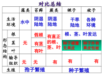 3.2.1《种子的萌发》PPT课件2-七年级生物上册【人教版】