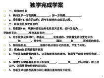 3.2.2《植株的生长》PPT课件1-七年级生物上册【人教版】