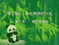 3.2.1《种子的萌发》PPT课件5-七年级生物上册【人教版】