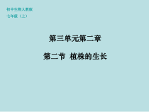 3.2.2《植株的生长》PPT课件8-七年级生物上册【人教版】