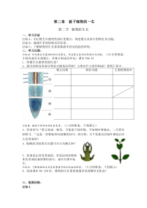 3.2.2《植株的生长》导学案-七年级生物上册【人教版】