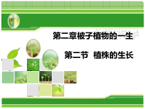 3.2.2《植株的生长》PPT课件7-七年级生物上册【人教版】