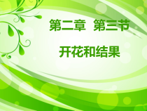 3.2.3《开花和结果》PPT课件4-七年级生物上册【人教版】