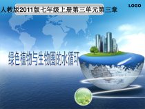3.3.2《绿色植物与生物圈的水循环》PPT课件3-七年级生物上册【人教版】