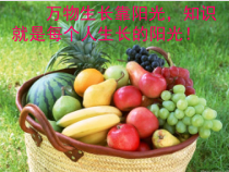 3.4.2《绿色植物是生物圈中有机物的制造者》PPT课件2-七年级生物上册【人教版】