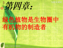 3.4.2《绿色植物是生物圈中有机物的制造者》PPT课件3-七年级生物上册【人教版】