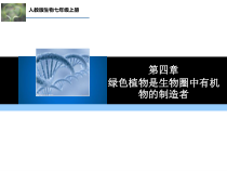 3.4.2《绿色植物是生物圈中有机物的制造者》PPT课件5-七年级生物上册【人教版】