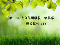 3.5.1《光合作用吸收二氧化碳释放氧气》PPT课件2-七年级生物上册【人教版】