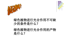 3.5.1《光合作用吸收二氧化碳释放氧气》PPT课件3-七年级生物上册【人教版】