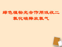3.5.1《光合作用吸收二氧化碳释放氧气》PPT课件4-七年级生物上册【人教版】