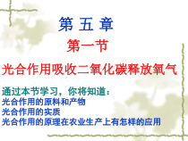 3.5.1《光合作用吸收二氧化碳释放氧气》PPT课件5-七年级生物上册【人教版】