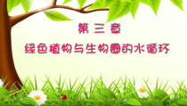 3.3.2《绿色植物与生物圈的水循环》PPT课件4-七年级生物上册【人教版】