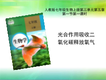 3.5.1《光合作用吸收二氧化碳释放氧气》PPT课件7-七年级生物上册【人教版】