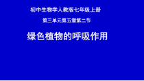 3.5.2《绿色植物的呼吸作用》PPT课件1-七年级生物上册【人教版】