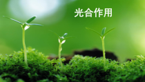 3.5.1《光合作用吸收二氧化碳释放氧气》PPT课件1-七年级生物上册【人教版】