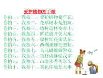 3.6.2《爱护植被，绿化祖国》PPT课件2-七年级生物上册【人教版】