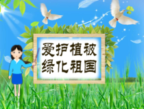 3.6.2《爱护植被，绿化祖国》PPT课件5-七年级生物上册【人教版】