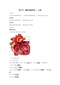 3.第三节《输送血液的泵——心脏》学案设计-七年级生物下册【人教版】