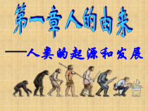 4.1.1《人类的起源和发展》PPT课件4-七年级生物下册【人教版】