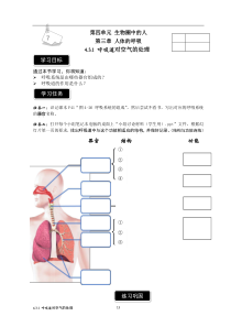 4.3.1《呼吸道对空气的处理》导学案2-七年级生物下册【人教版】