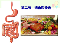4.2.2《消化和吸收》PPT课件6-七年级生物下册【人教版】