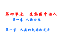 4.1.1《人类的起源和发展》PPT课件3-七年级生物下册【人教版】