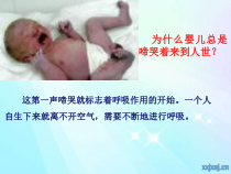 4.3.1《呼吸道对空气的处理》PPT课件1-七年级生物下册【人教版】