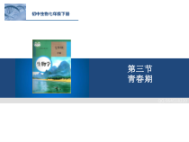4.1.3《青春期》PPT课件5-七年级生物下册【人教版】