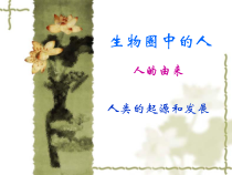 4.1.1《人类的起源和发展》PPT课件6-七年级生物下册【人教版】