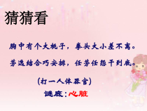 4.4.3《输送血液的泵——心脏》PPT课件3-七年级生物下册【人教版】