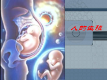 4.1.2《人的生殖》PPT课件3-七年级生物下册【人教版】