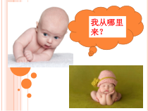 4.1.2《人的生殖》PPT课件2-七年级生物下册【人教版】
