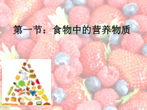 4.2.1《食物中的营养物质》PPT课件6-七年级生物下册【人教版】