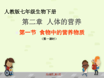 4.2.1《食物中的营养物质》PPT课件8-七年级生物下册【人教版】