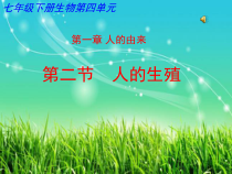 4.1.2《人的生殖》PPT课件4-七年级生物下册【人教版】