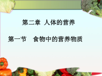 4.2.1《食物中的营养物质》PPT课件4-七年级生物下册【人教版】
