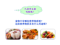 4.2.1《食物中的营养物质》PPT课件1-七年级生物下册【人教版】