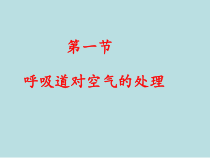 4.3.1《呼吸道对空气的处理》PPT课件2-七年级生物下册【人教版】