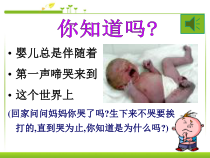 4.3.1《呼吸道对空气的处理》PPT课件4-七年级生物下册【人教版】