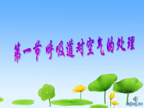 4.3.1《呼吸道对空气的处理》PPT课件5-七年级生物下册【人教版】
