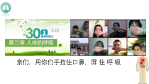 4.3.1《呼吸道对空气的处理》PPT课件6-七年级生物下册【人教版】