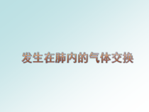 4.3.2《发生在肺内的气体交换》PPT课件1-七年级生物下册【人教版】