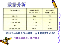 4.3.2《发生在肺内的气体交换》PPT课件2-七年级生物下册【人教版】