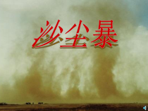 4.3.1《呼吸道对空气的处理》PPT课件7-七年级生物下册【人教版】