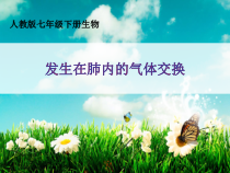 4.3.2《发生在肺内的气体交换》PPT课件5-七年级生物下册【人教版】