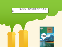 4.3.2《发生在肺内的气体交换》PPT课件4-七年级生物下册【人教版】
