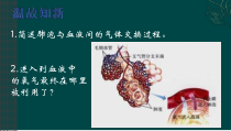 4.3.2《科学·技术·社会“森林浴”、有氧运动和高压氧治疗》PPT课件2-七年级生物下册【人教版】