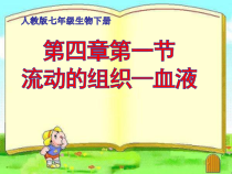 4.4.1《流动的组织——血液》PPT课件1-七年级生物下册【人教版】