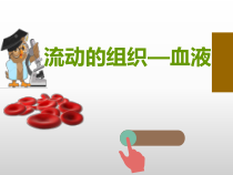 4.4.1《流动的组织——血液》PPT课件2-七年级生物下册【人教版】